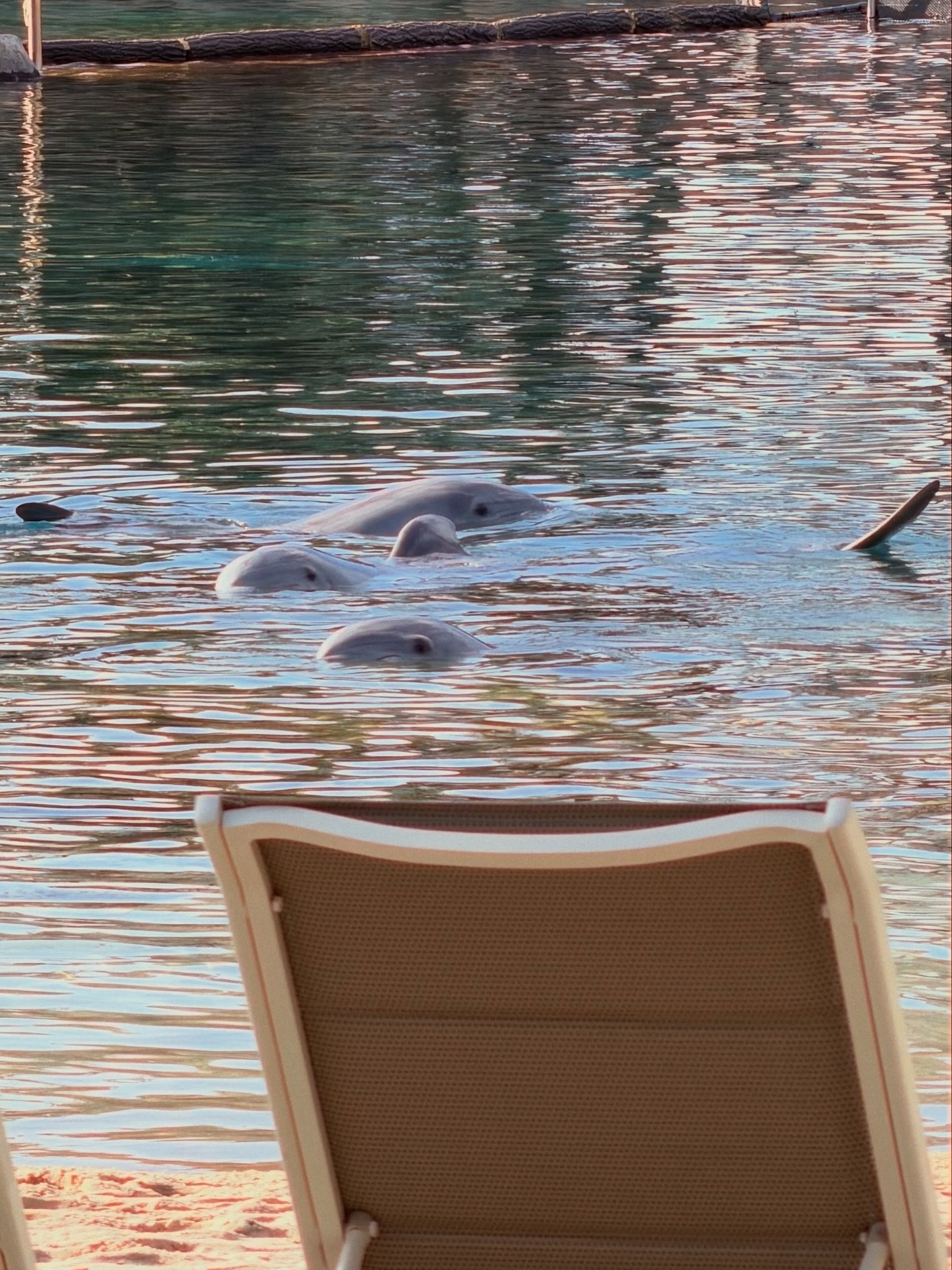 Florida